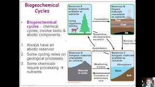 ecosystems and restoration ecology [upl. by Lemuel]