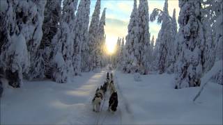 The magic of mushing [upl. by Rosena]