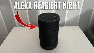 Alexa REAGIERT NICHT  Ursachen und Lösung Deutsch  Amazon Echo Tutorial [upl. by Hartmann]