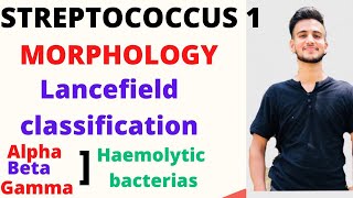 Streptococcus microbiology Lancefield classification of Streptococcus Camp Test [upl. by Navar]