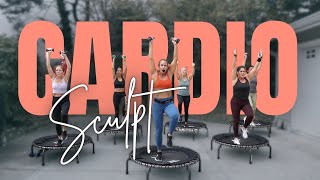 30 MIN HIIT Mini Trampoline Cardio Sculpt  At Home Fat Burn Workout [upl. by Meter857]