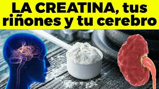 Lo que la Creatina le puede hacer a tus riñones y a tu cerebro [upl. by Cele]