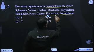 How many organisms show haplodiplontic life cycle Sphagnum Volvox Ulothrix Marchantia Polyt [upl. by Glory]