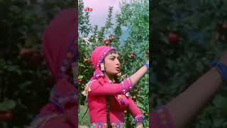 यह पर्दा हटा दो  Mohammed Rafi amp Asha Bhosle  Ek Phool Do Mali oldhindisong mohammedrafisongs [upl. by Etnoled]