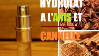 HYDROLAT FAIT MAISON A LA CANNELLE ET A LANIS FACILE [upl. by Aldarcy]