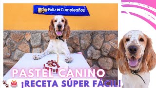 ¡Pastel para Perros Fácil y Saludable Receta Especial para Consentir a tu Peludo [upl. by Dowdell]