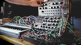 Back to the Mud  Moog Semi Modular Jam [upl. by Nilecoj]