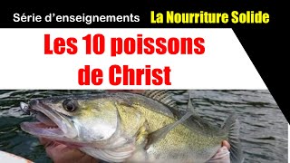 Fr Armando Je vous ferai pêcheurs d’hommes  Les 10 poissons de Christ [upl. by Lacie]