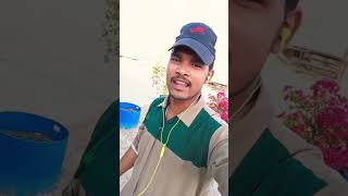 bhojpuri song musicgenre 💔💔 [upl. by Assiren]