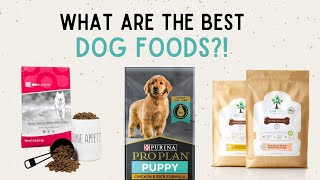 Whats the BEST dog food  CC  Ep 39 [upl. by Leirej]