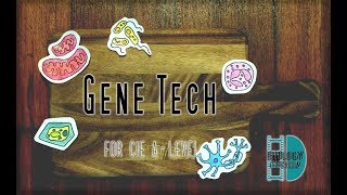 ALevel Biology  Gene Technology  Recombinant DNA [upl. by Bogart898]