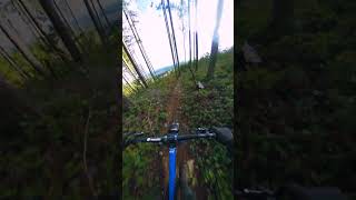 Mind MELTING Trail SO GOOD [upl. by Stoddart]