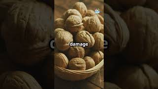 Discover the MINDBLOWING Fertility Benefits of Walnuts [upl. by Hazel]