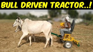 Bull Driven Tractor Ploughing with Bulls in Village [upl. by Odravde362]