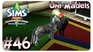 Zwei Samtpfoten bereichern unser Leben 46 Die Sims 3  Uni Mädels  Lets Play [upl. by Itsur631]