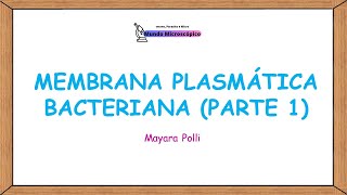 Membrana Plasmática Bacteriana  Estrutura e Função PARTE 1 [upl. by Llerol]