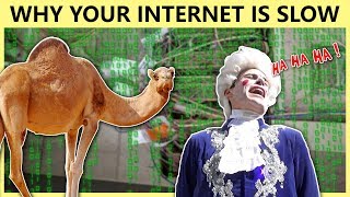 Why Your Internet is Slow [upl. by Rosemary52]