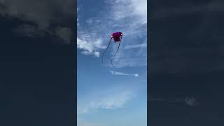 Kite in Ogunquit Maine [upl. by Nysila]