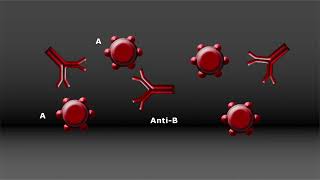 Forensic Science  321 Blood [upl. by Jethro763]