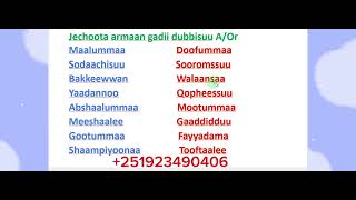 Afaan Oromoo Jechoota armaan gadii dubbisuu study Afaan OromooAmharic English Letters [upl. by Madelyn]