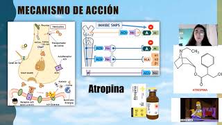 Fármacos agonistas y antagonistas Colinérgicos [upl. by Pacificas]