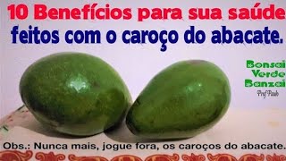 10 benefícios com o caroço do abacate Nunca mais os jogue fora paulobonsai [upl. by Trilly]