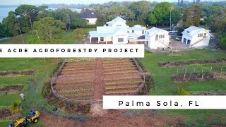 3 Acre Food Forest  Agroforestry Project Gulf Coast Florida [upl. by Ajat649]