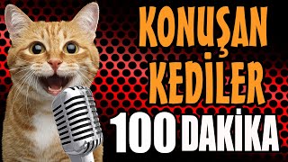 Konuşan Kediler 100 Dakika  Sinema Tadında En Komik Kedi Videoları [upl. by Westland]