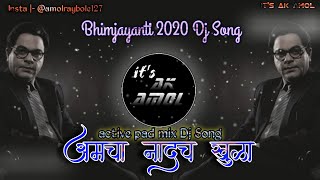 Aamcha Nadach Khula DJ  💙आमचा नादच खुळा DJ💙  Its AK Amol  2020 New Jay Bhim Song Dj [upl. by Nosyaj103]