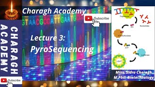 DNA Sequencing  PyroSequencing Lecture 3 [upl. by Cyprian]