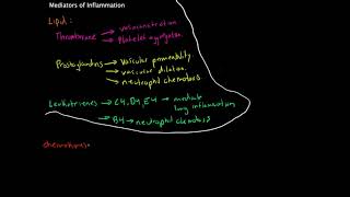 Immunology  Mediators of Inflammation [upl. by Yelkrab]