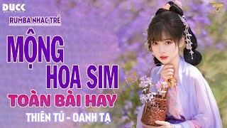 MỘNG HOA SIM THƯƠNG LY BIỆT  RUMBA NHẠC TRẺ THIÊN TÚ x OANH TẠ HAY NHẤT 2024 [upl. by Ayisan]