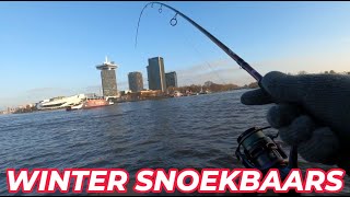 WIJ VISSEN DE MOOISTE DAG VAN HET JAAR OP SNOEKBAARS roofvissen zander fishing [upl. by Schrick329]