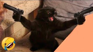 Funniest Animals 😄 New Funny Cats and Dogs Videos 😹🐶  Ep18 [upl. by Buyse124]