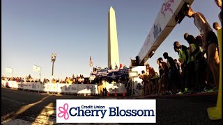 2024 Credit Union Cherry Blossom 10 Mile Run  Promo [upl. by Oicaroh]