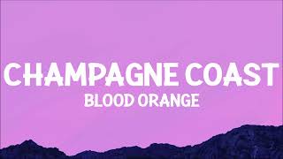 Blood Orange  Champagne Coast Lyrics [upl. by Syd289]