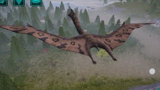 QUETZALCOATLUS 🦅 EXPERIENCE CURSED ISLE BATTLEGROUND [upl. by Nonnel]