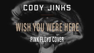 Cody Jinks  quotWish You Were Herequot  Pink Floyd Cover [upl. by Norbie324]