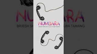 Numbara  Brijesh shrestha x SRT x Fuba Tamang  out now BrijeshShrestha fubatamang [upl. by Ehcnalb697]