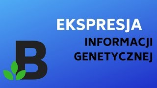 na czym polega EKSPRESJA INFORMACJI GENETYCZNEJ   KOREPETYCJE z BIOLOGII  212 [upl. by Bunny]