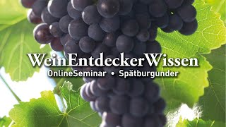 🍇 Spätburgunder – WeinEntdeckerWissen OnlineSeminar 🍇 [upl. by Atnohs]