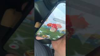 SHUNDO MIGHTY GYARADOS Caught on Birthday   Pokemon Go [upl. by Aleka784]