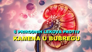 6 PRIRODNIH LEKOVA PROTIV KAMENA U BUBREGU [upl. by Lasyrc]