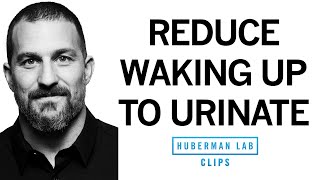 How to Reduce Nighttime Urination  Dr Andrew Huberman [upl. by Yttik]