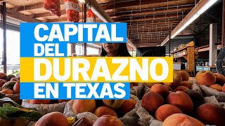 La capital del durazno en Texas ¿sabes dónde queda [upl. by Aidam]