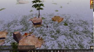 Neverwinter Nights Enhanced Edition  Dynamic snow [upl. by Adlesirc343]