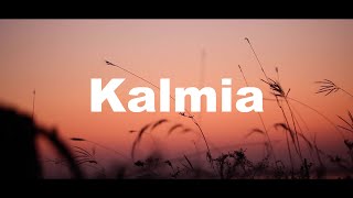 lil  Kalmia feat可不 Official Music Video [upl. by Brigg498]