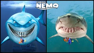 Finding Nemo Characters In Real Life And Other Favorites  Nemo Dory Bruce [upl. by Immak760]