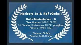 Herbots Jo amp Raf Gebr  HalleBooienhoven 1st Nat Chateauroux 18741b  fastest 21070b 2021 [upl. by Lemhaj]