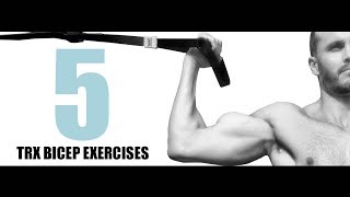 5 TRX BICEP EXERCISES [upl. by Pedrick]